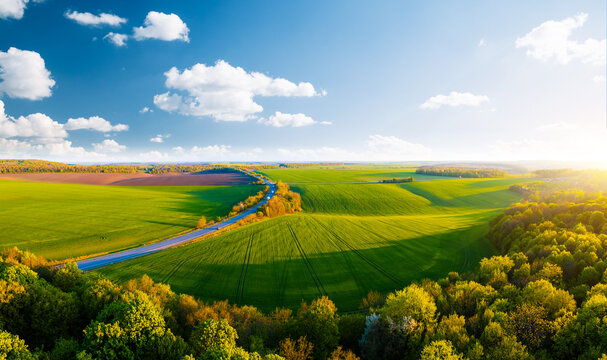 bare land