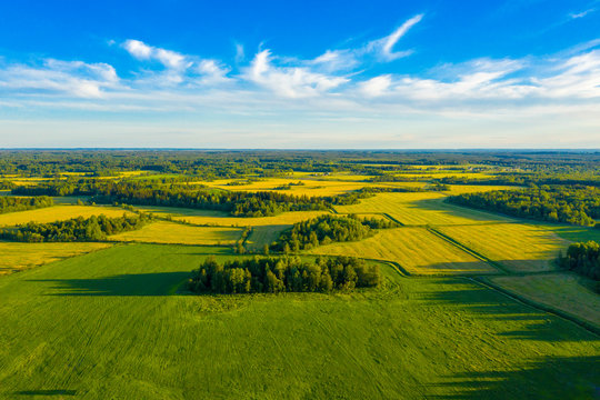 bare land